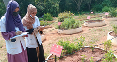 hamsa - Herbal Garden Visit